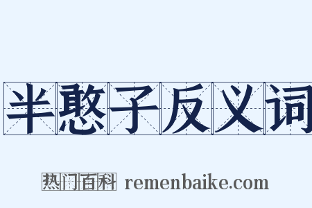 半憨子反义词是什么意思的图片